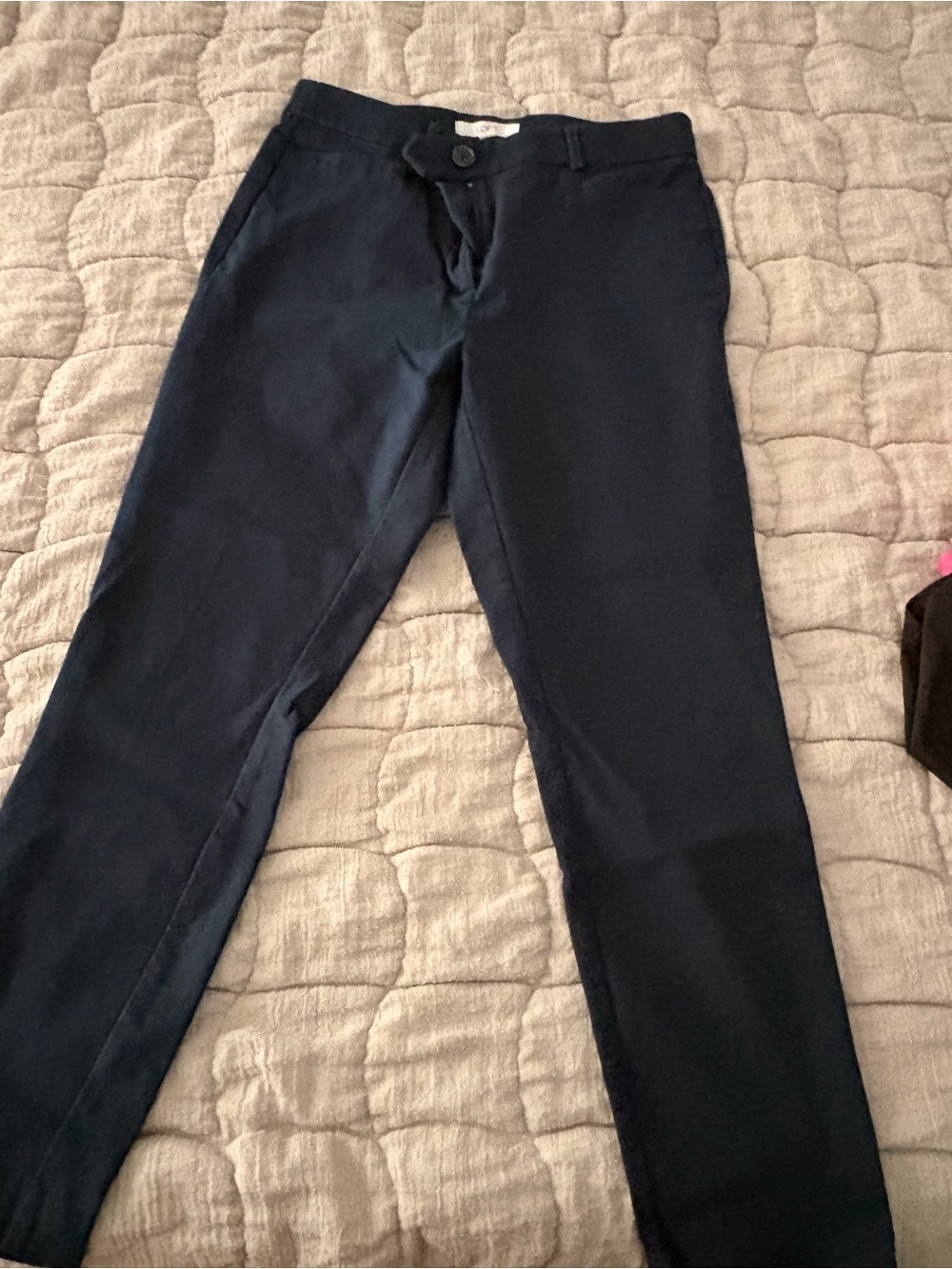Loft Navy Fitted Pants